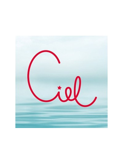 Comprar Desodorante Ciel Rose Aerosol 123 ml Mayorista al Mejor Precio!